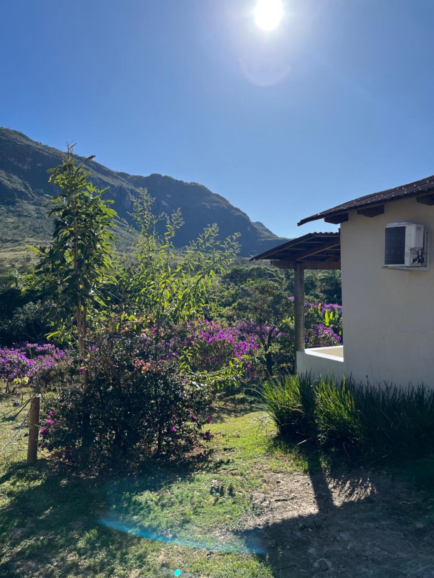 Pousada Rancho Dos Ipes Алту-Параизу-ди-Гояс Номер фото