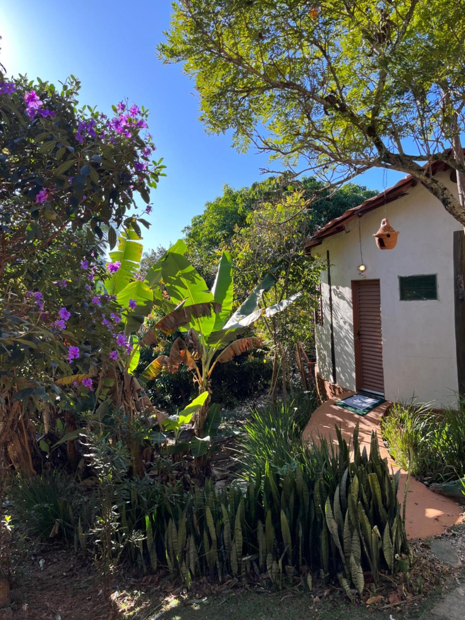 Pousada Rancho Dos Ipes Алту-Параизу-ди-Гояс Номер фото